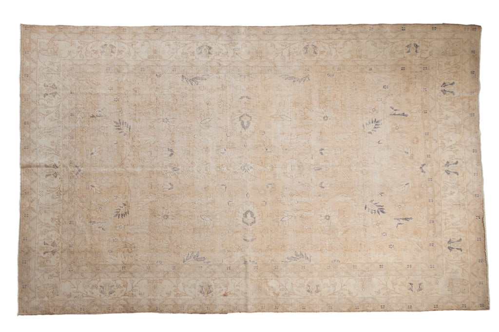 6.5x10.5 Vintage Distressed Sparta Carpet