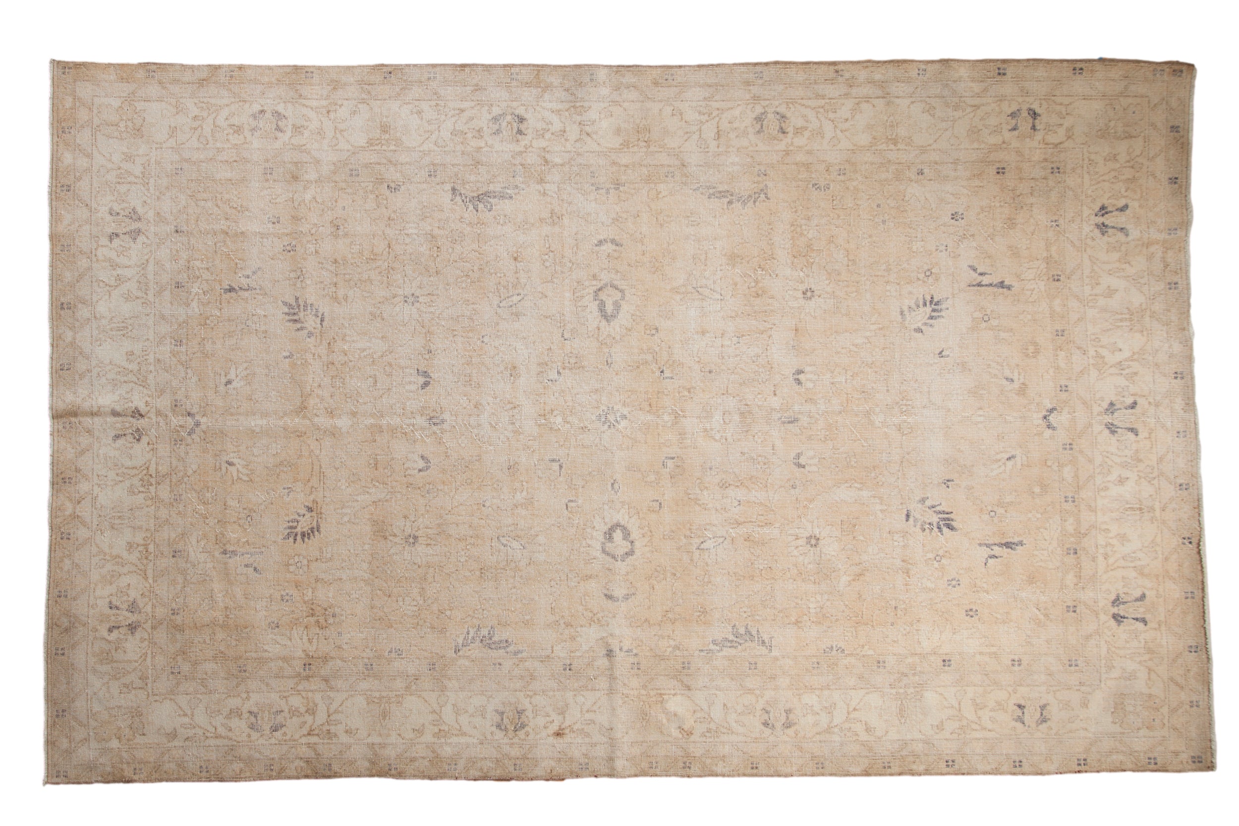 6.5x10.5 Vintage Distressed Sparta Carpet