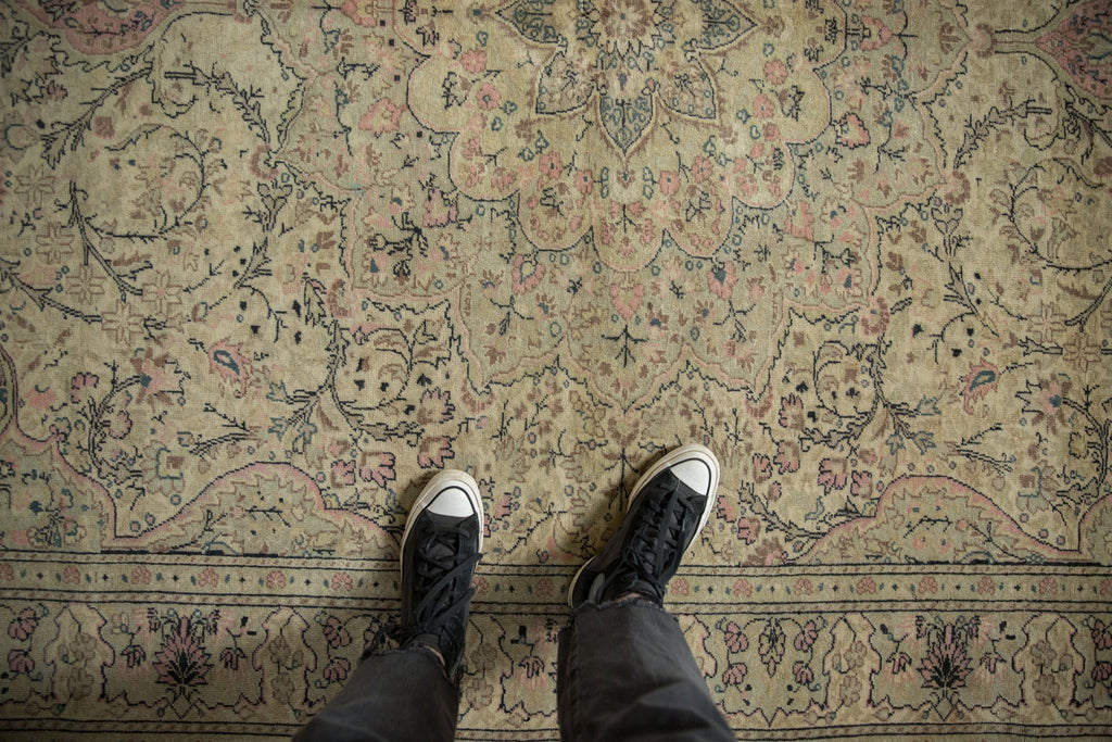 6.5x9.5 Vintage Distressed Kayseri Carpet