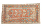2.5x5 Distressed Oushak Rug Runner
