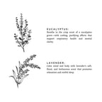 Eucalyptus + Lavender - Signature 3-Wick Candle