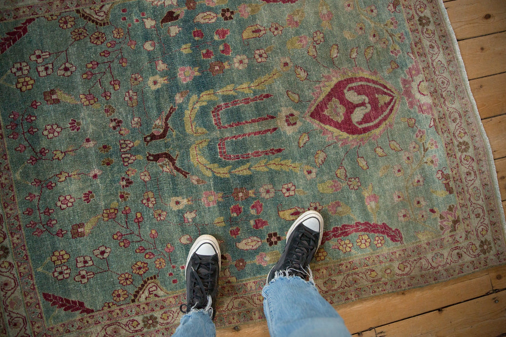 4x5.5 Vintage Distressed Meshed Rug