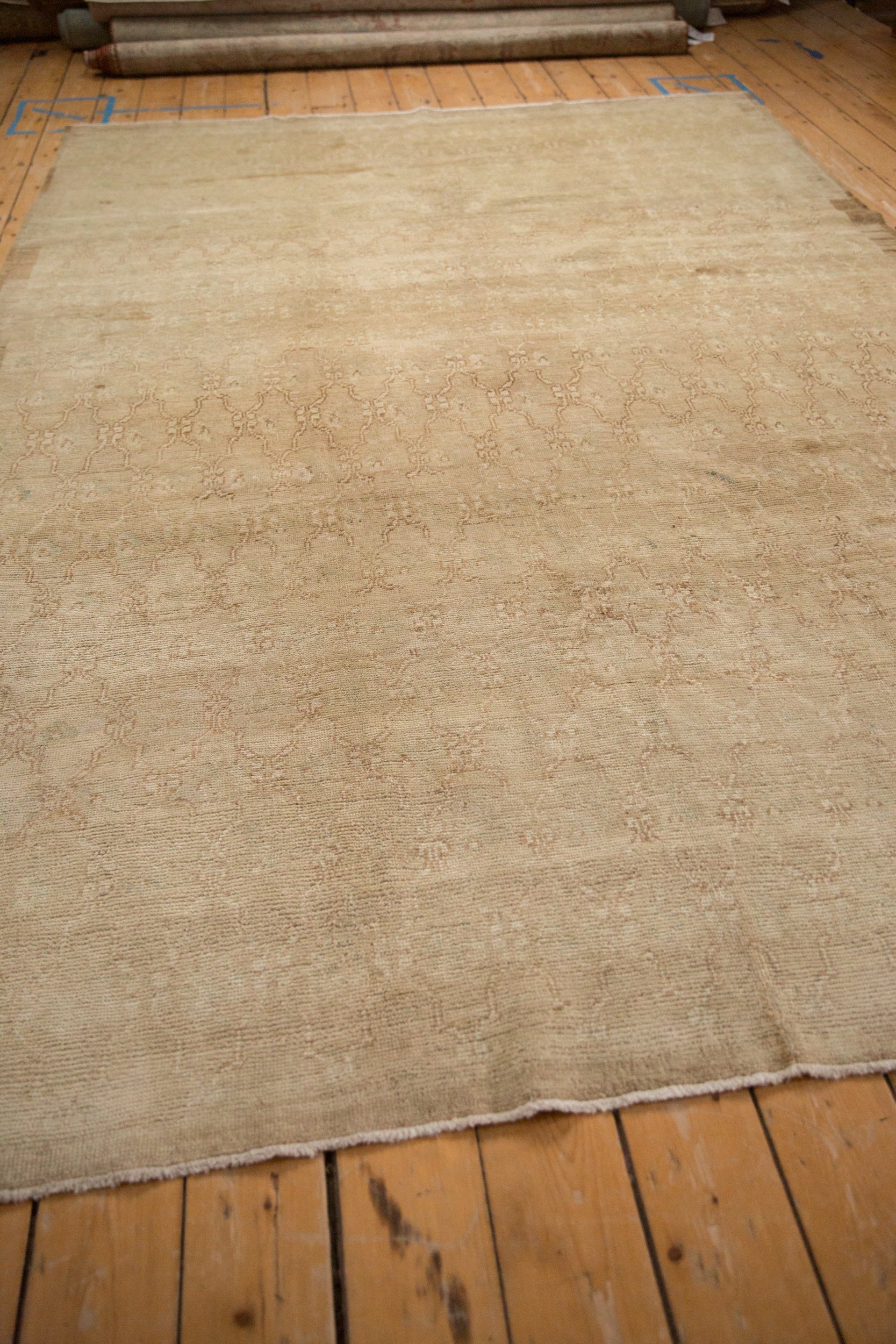 7x11 Vintage Distressed Kars Carpet