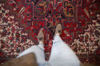 9.5x10 Vintage Mehrivan Square Carpet