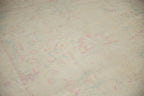 6x9 Vintage Distressed Bulgarian Polonaise Design Carpet